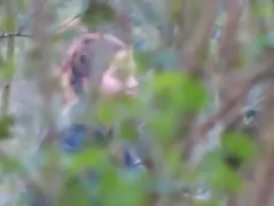 Notícia relatada gata os melhores filme pornô pega o pau do cameraman pendurado em uma van